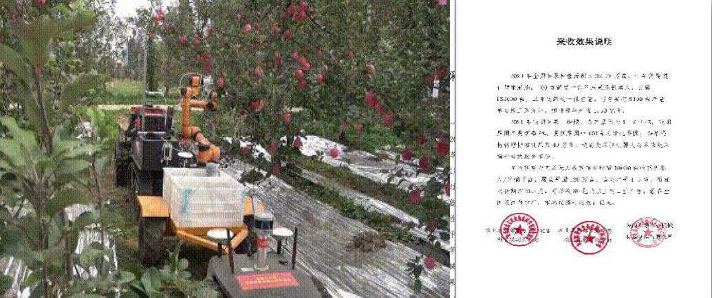 智能采摘机器人工作实景